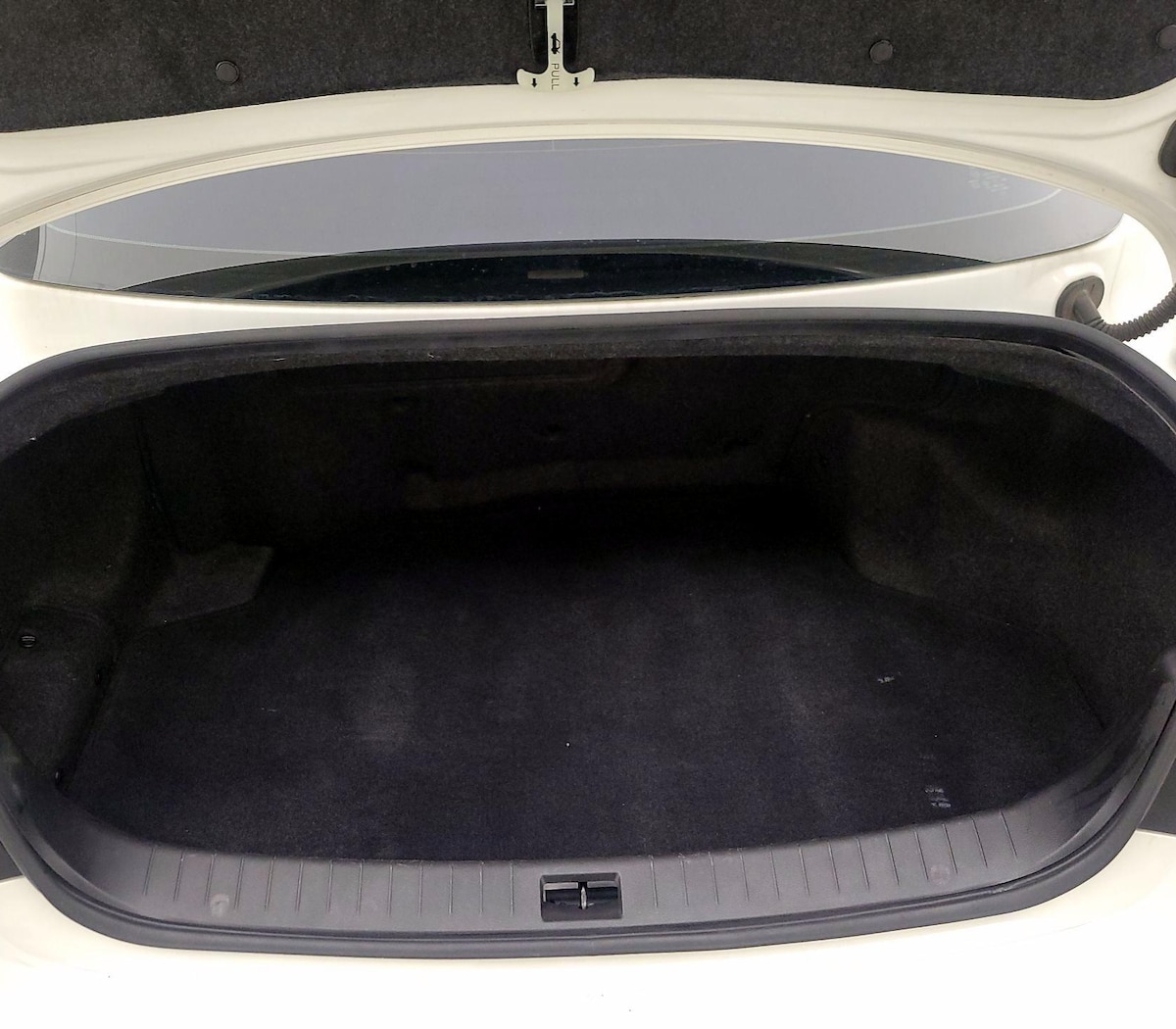 Trunk/Cargo (Seats Up)