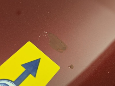 Condition detail