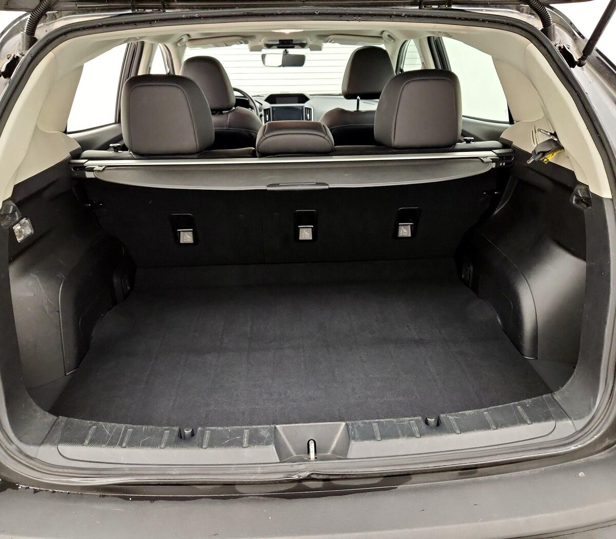 Trunk/Cargo (Seats Up)