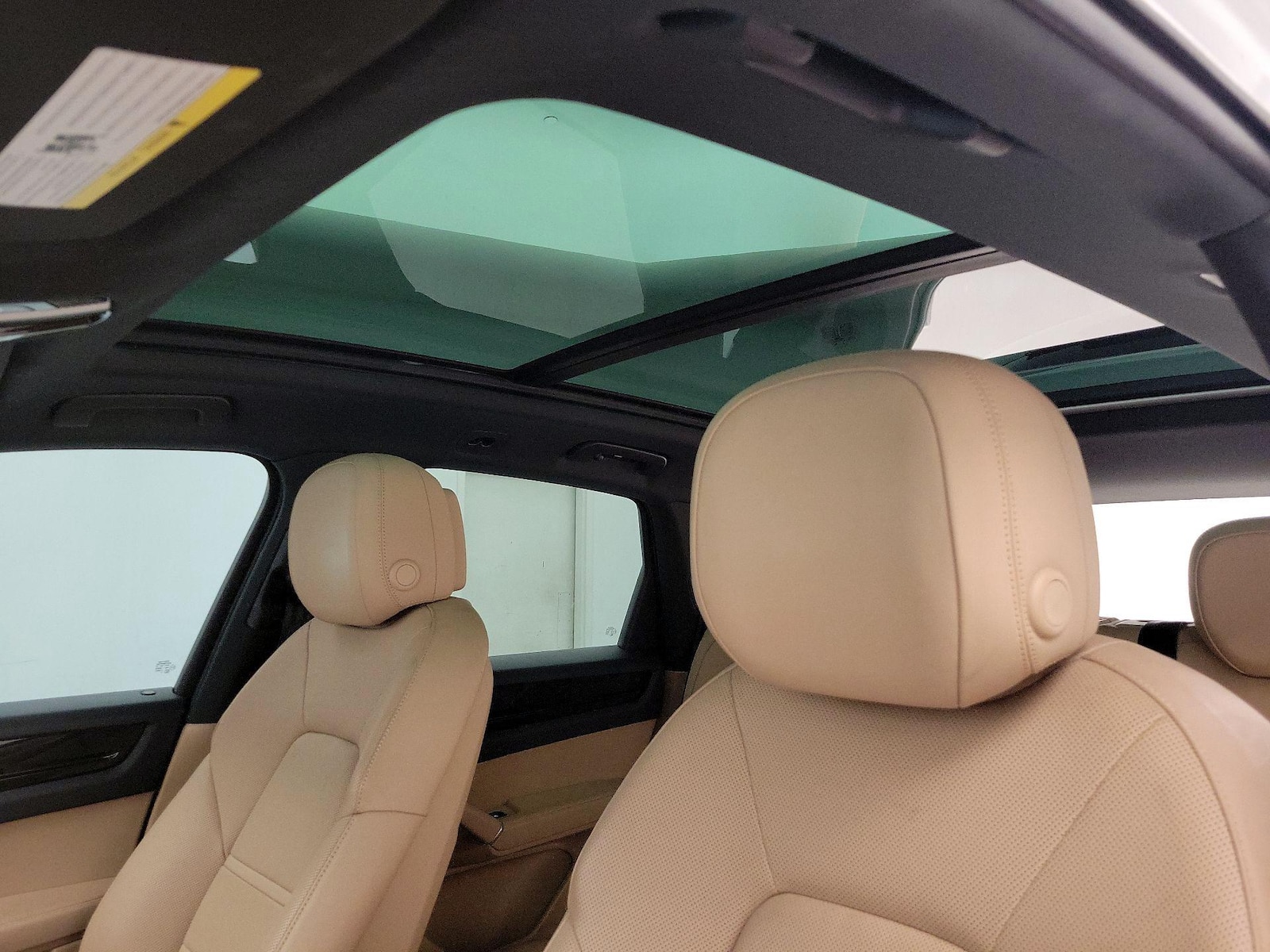 Panoramic Sunroof & Skylight(s)