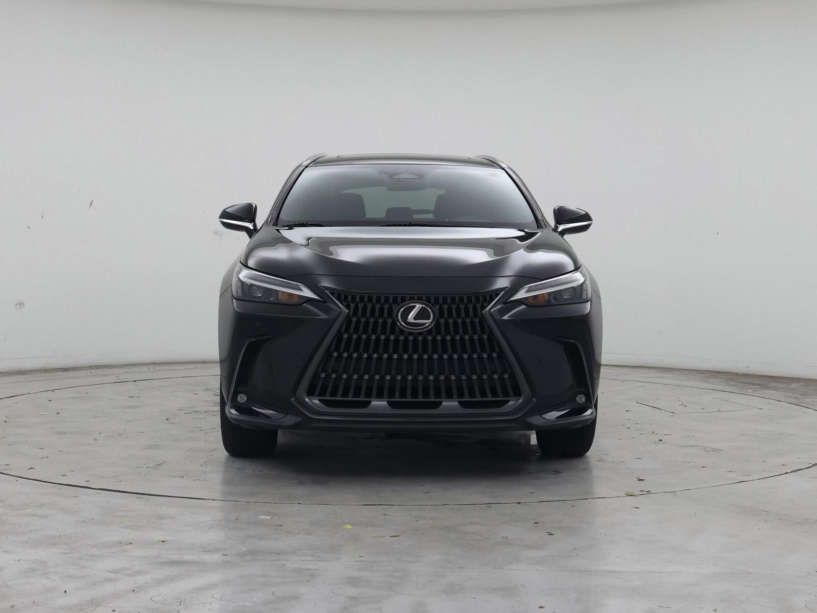 2023 Lexus NX 350 - Photo 6