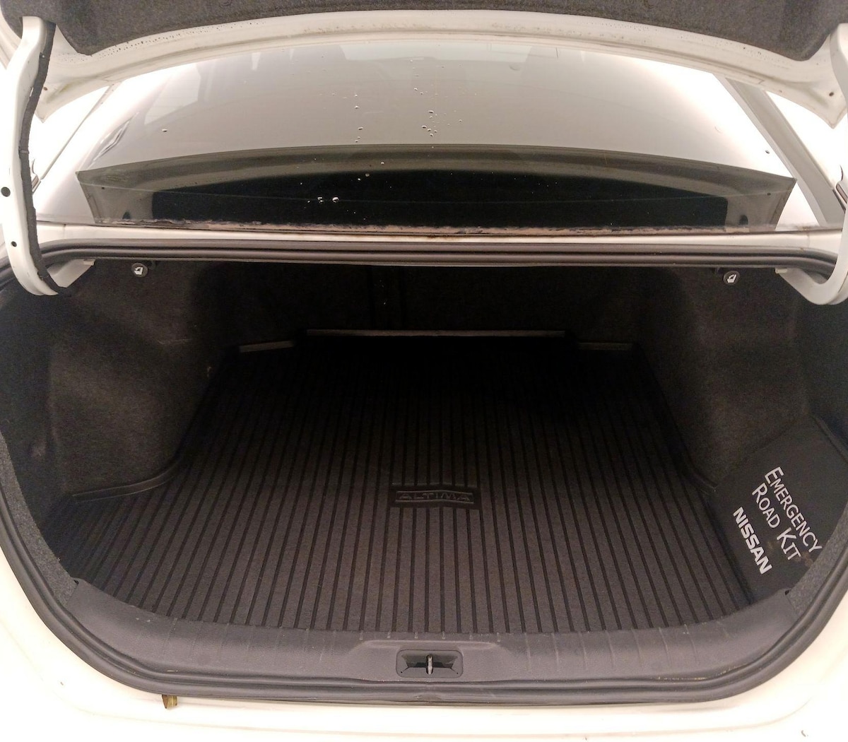Trunk/Cargo (Seats Up)