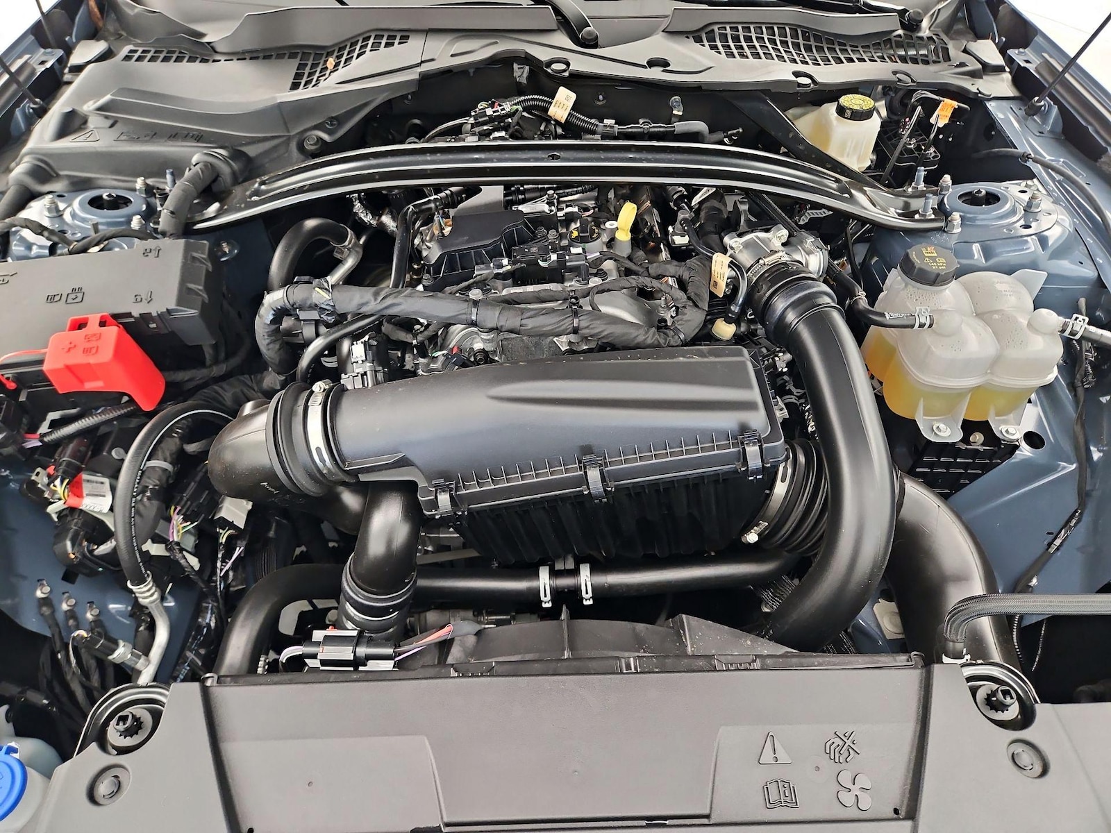 2025 Ford Mustang EcoBoost - Photo 22