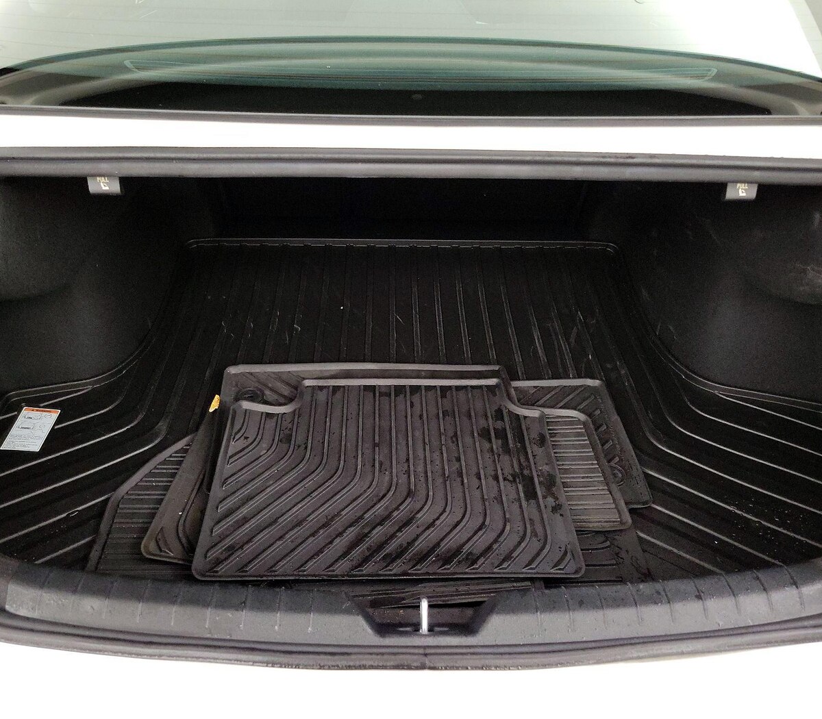 Trunk/Cargo (Seats Up)