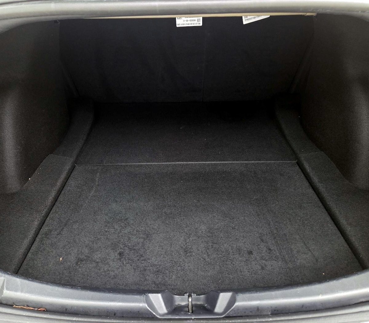 Trunk/Cargo (Seats Up)