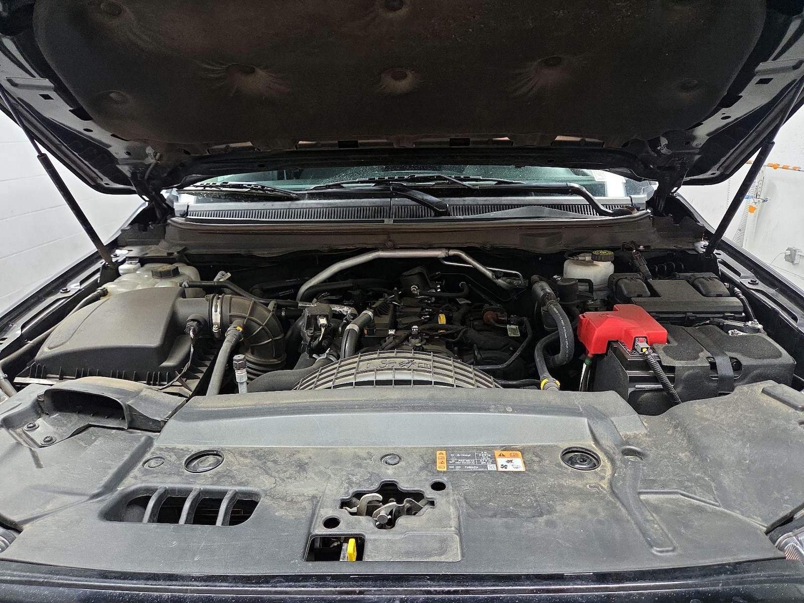 Photo 19