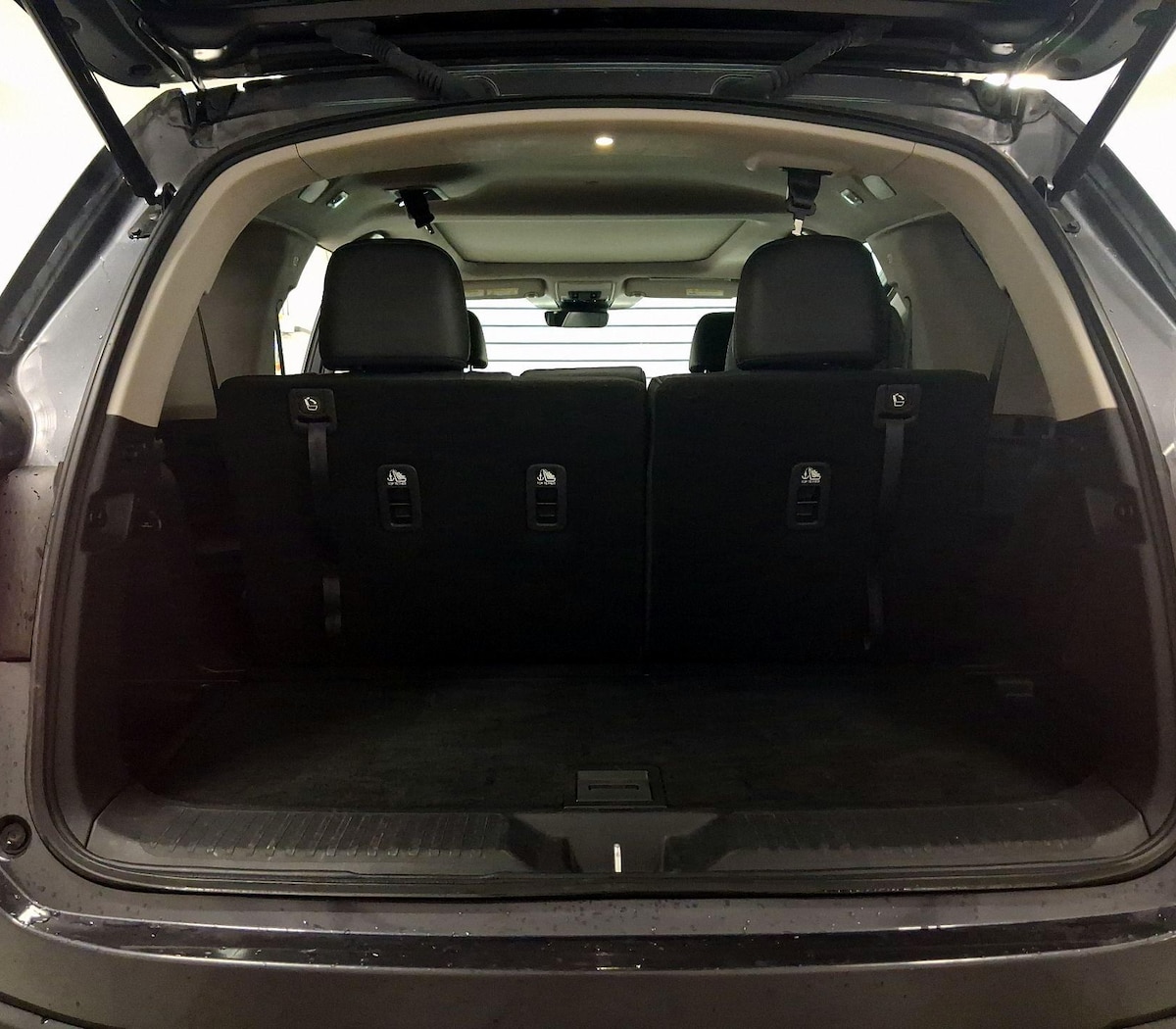 Trunk/Cargo (Seats Up)