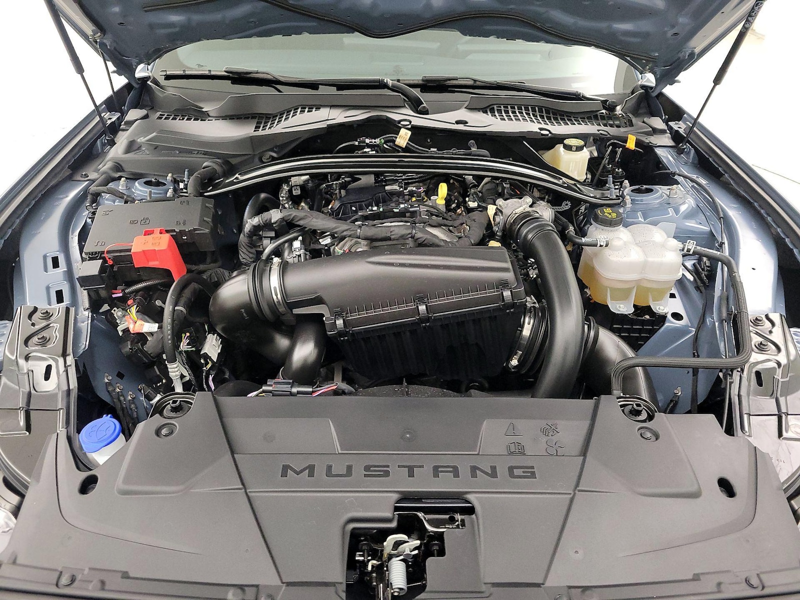 2025 Ford Mustang EcoBoost - Photo 19