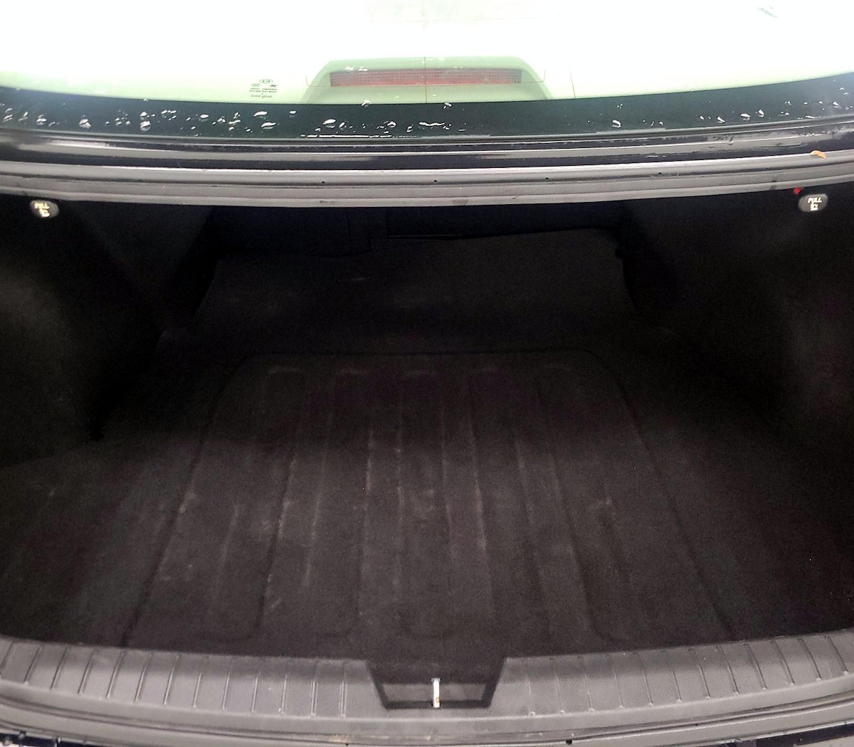 Trunk/Cargo (Seats Up)