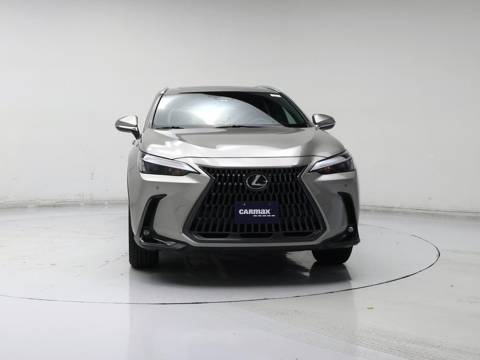 2023 Lexus NX 350 - Photo 6