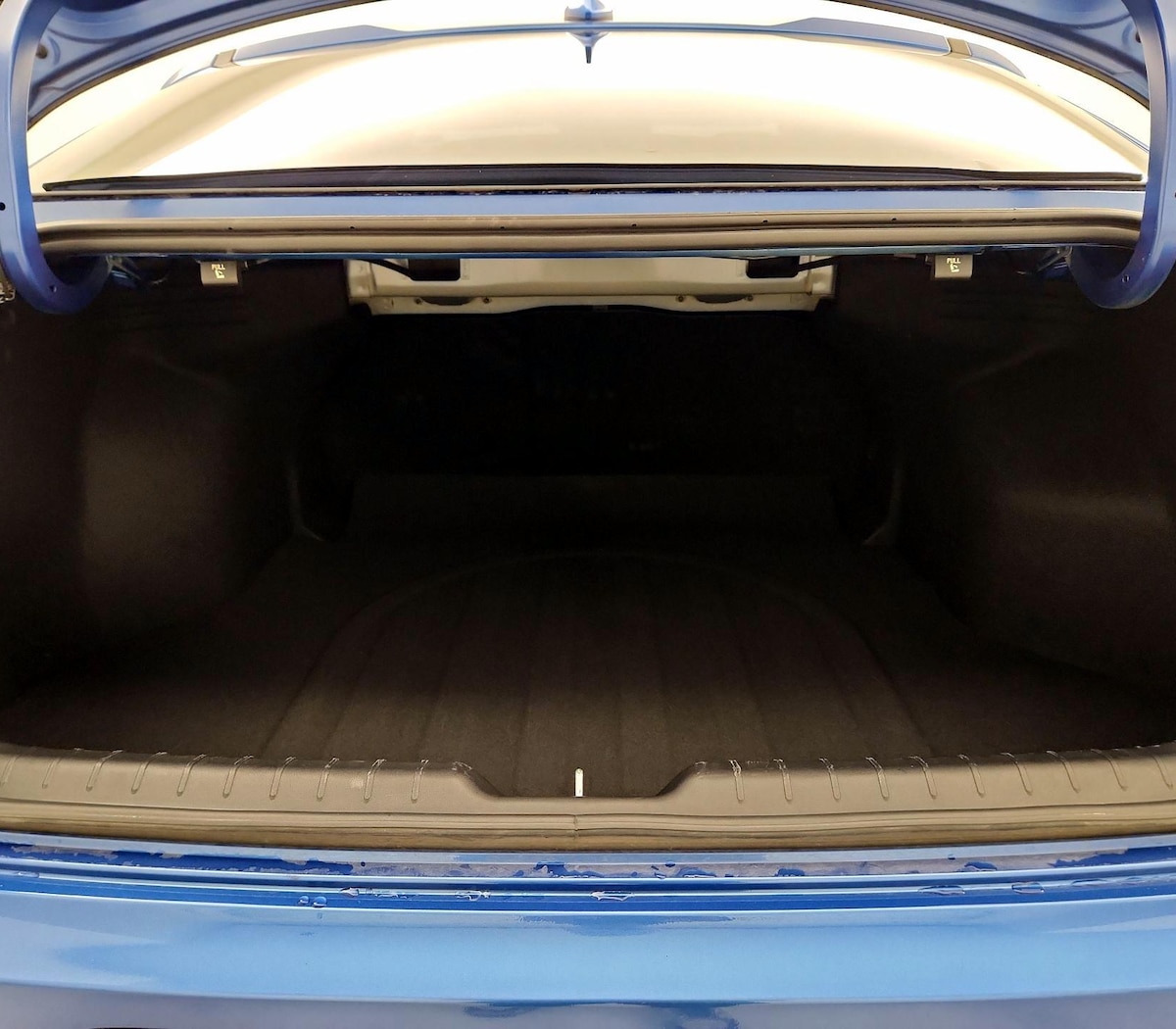 Trunk/Cargo (Seats Up)