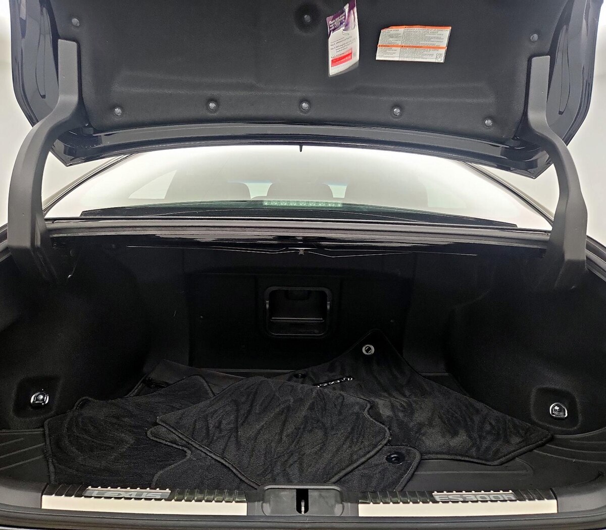 Trunk/Cargo (Seats Up)