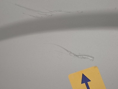 Condition detail