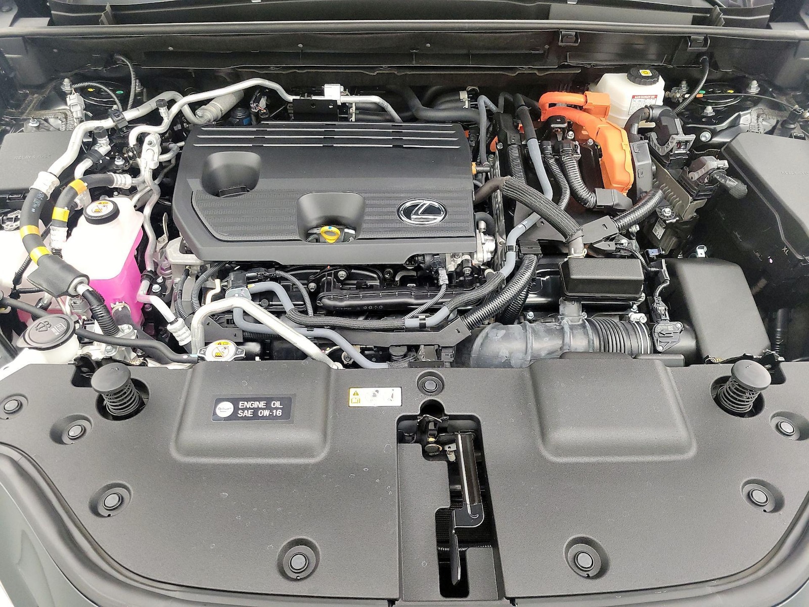 2025 Lexus NX PHEV 450h+ - Photo 24