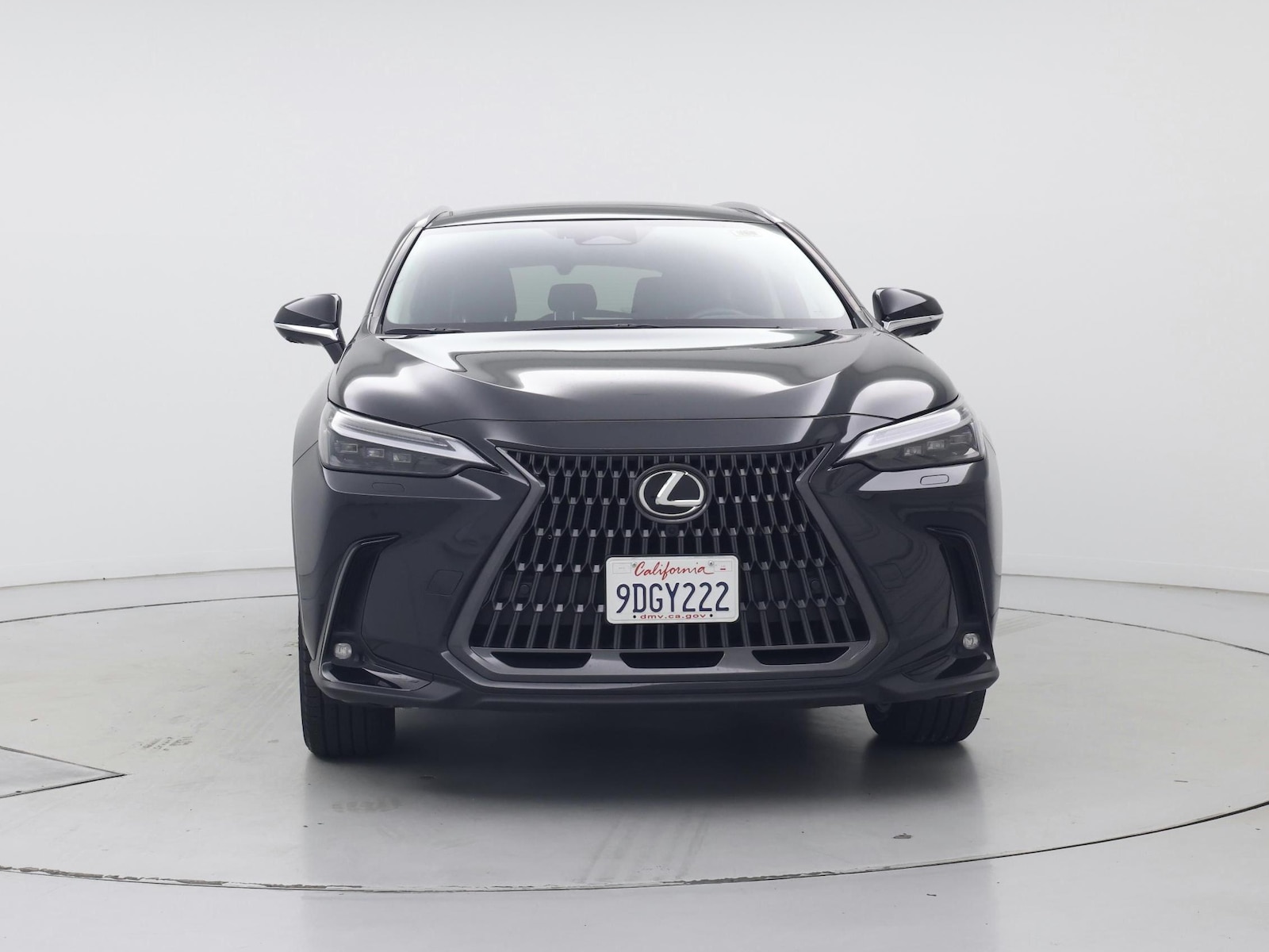 2025 Lexus NX PHEV 450h+ - Photo 6