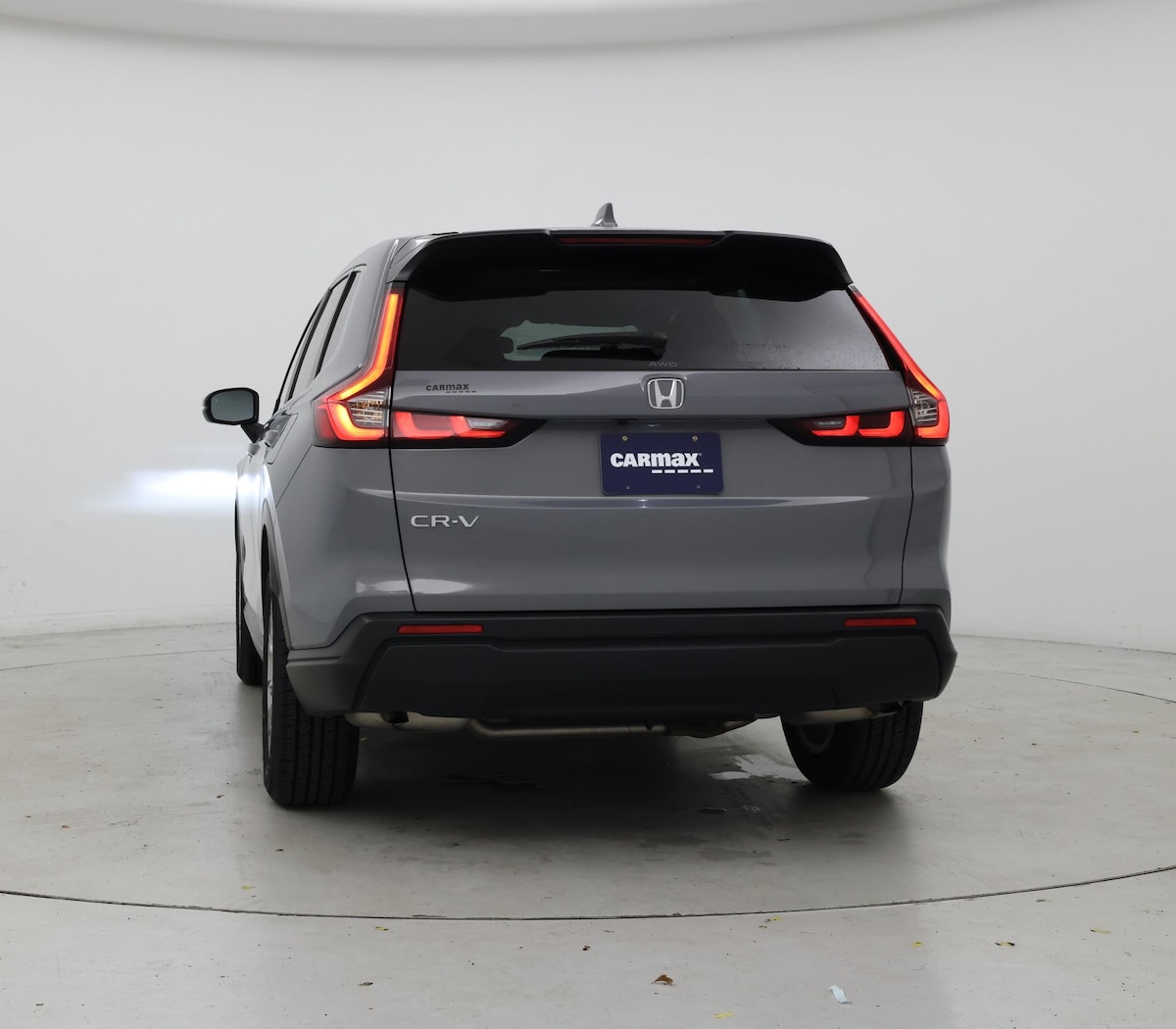 Rear