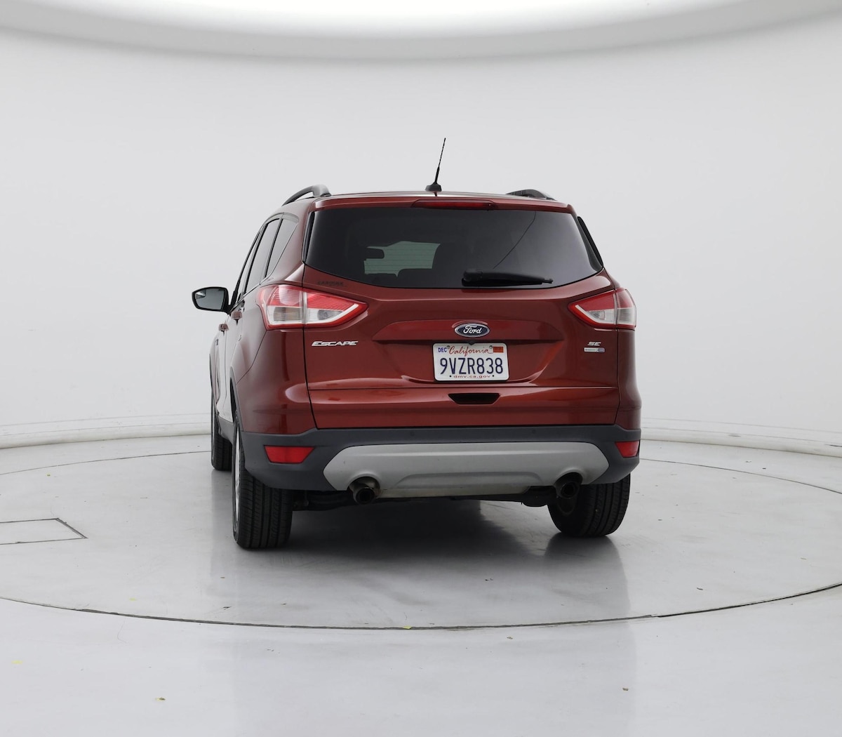 Rear