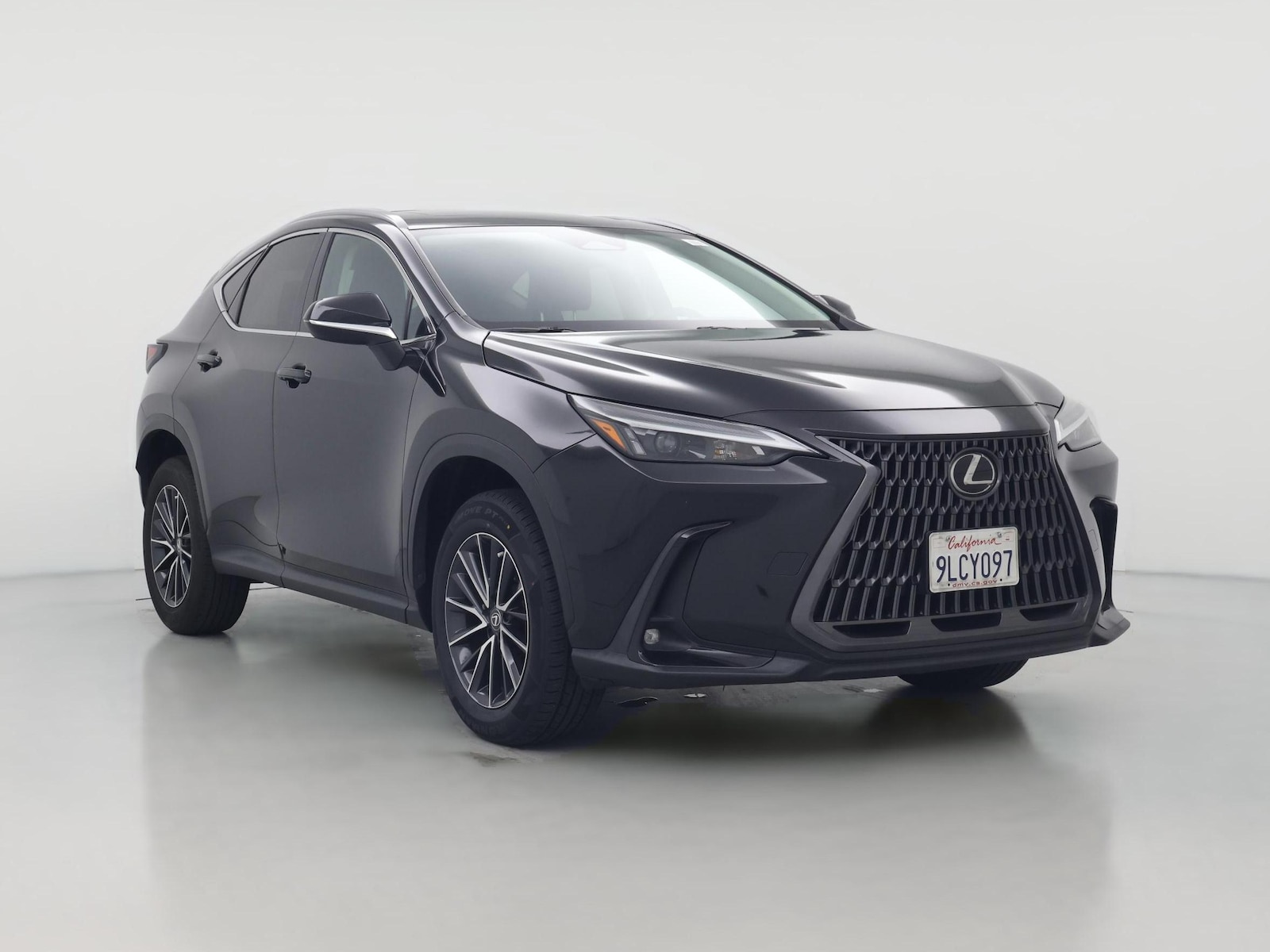 2024 Lexus NX