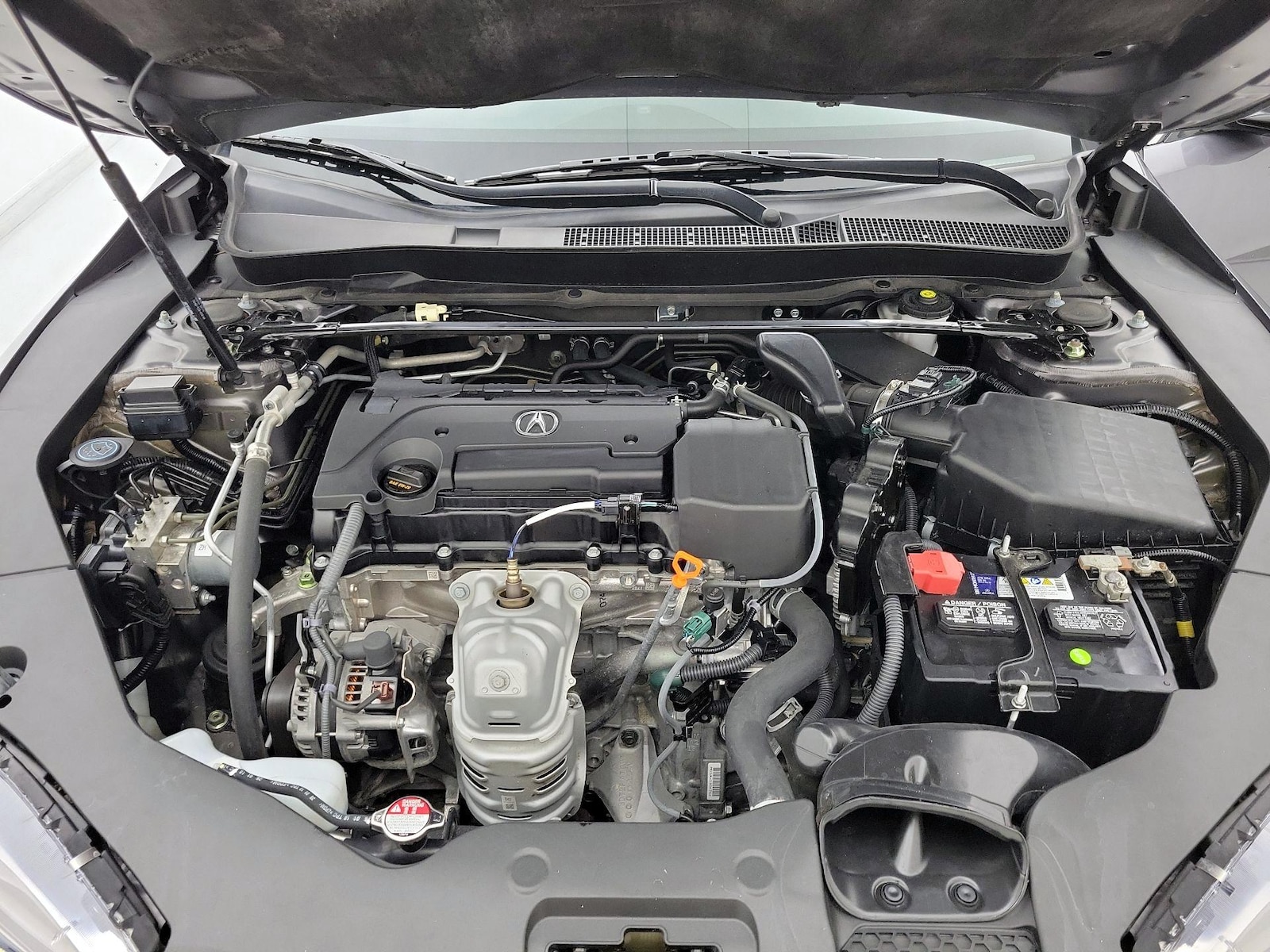 Photo 23