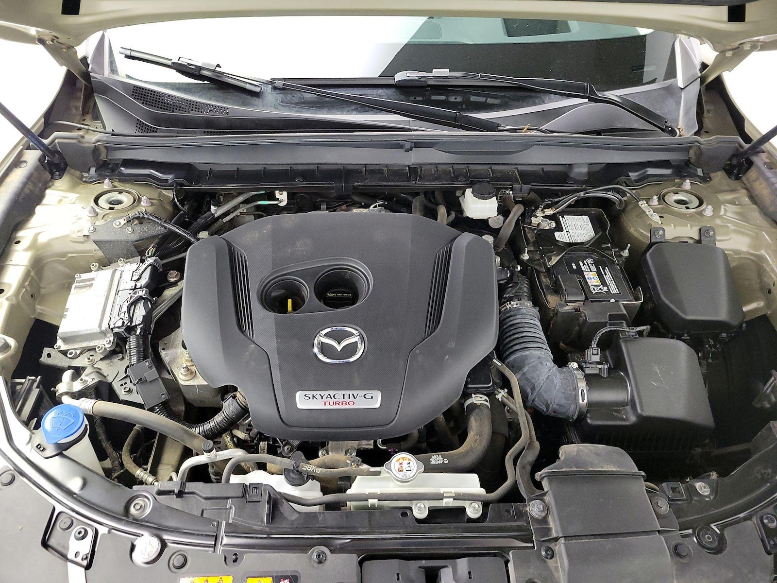 2024 Mazda CX-50 TURBO PREMIUM PLUS - Photo 24