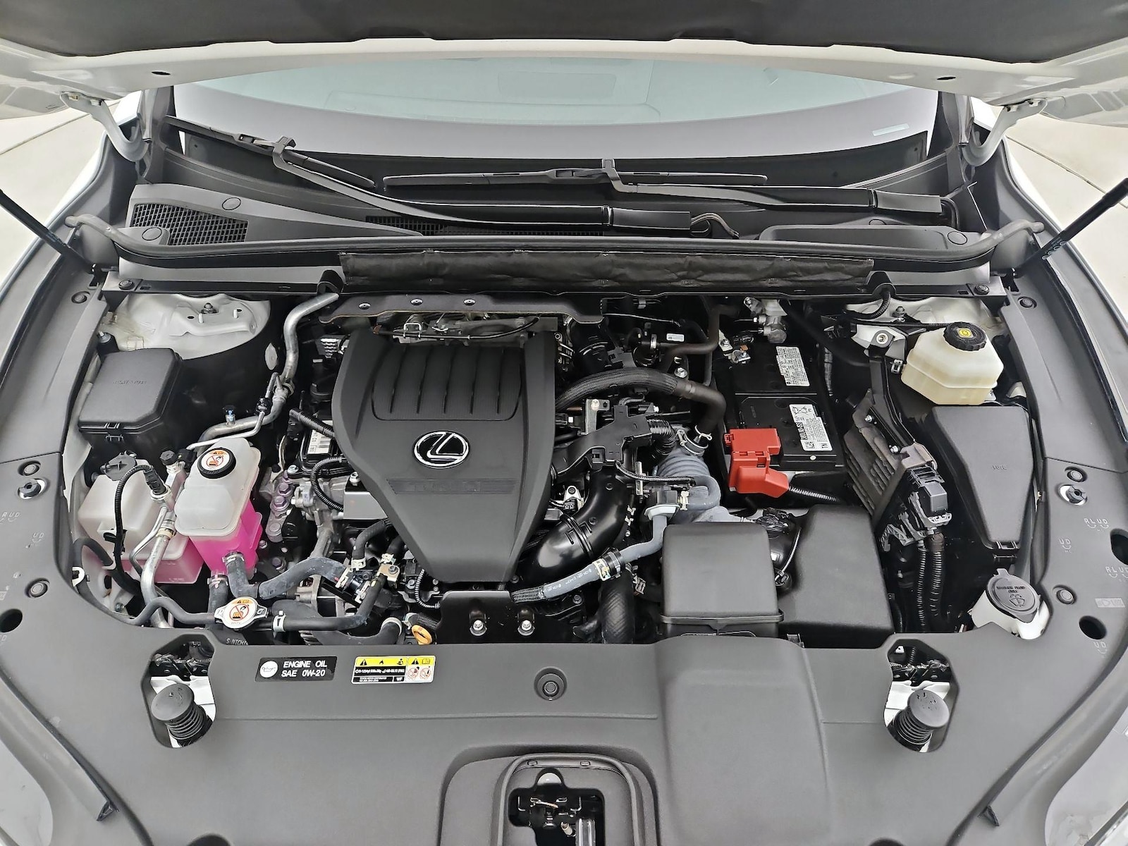 2024 Lexus RX 350 - Photo 22