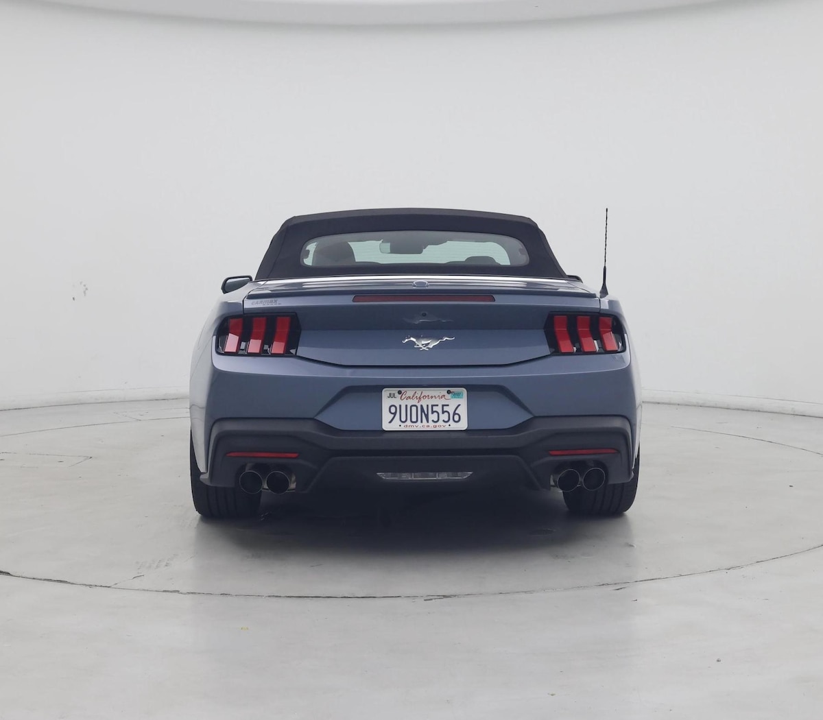 Rear