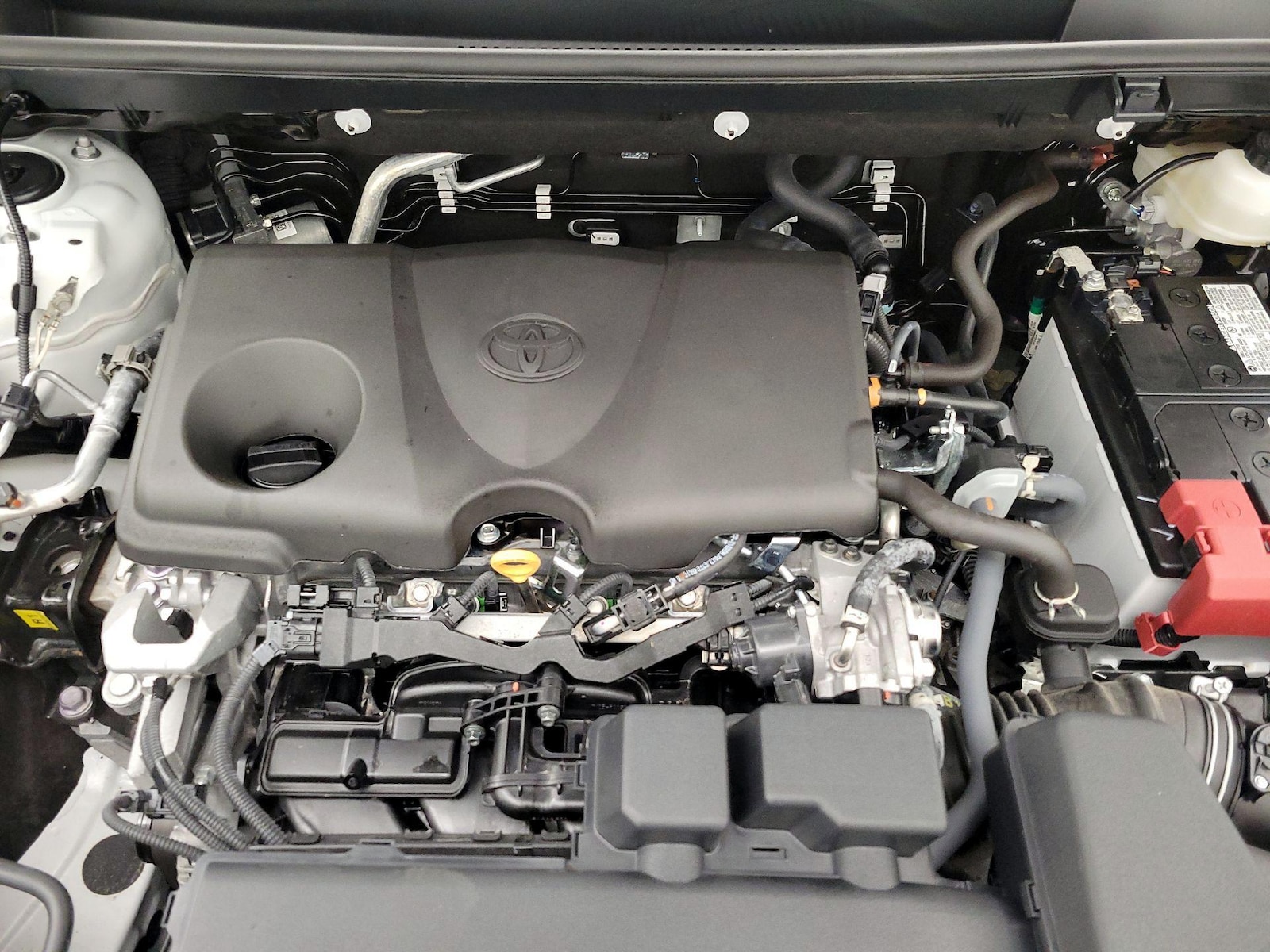 2025 Toyota RAV4 XLE - Photo 22