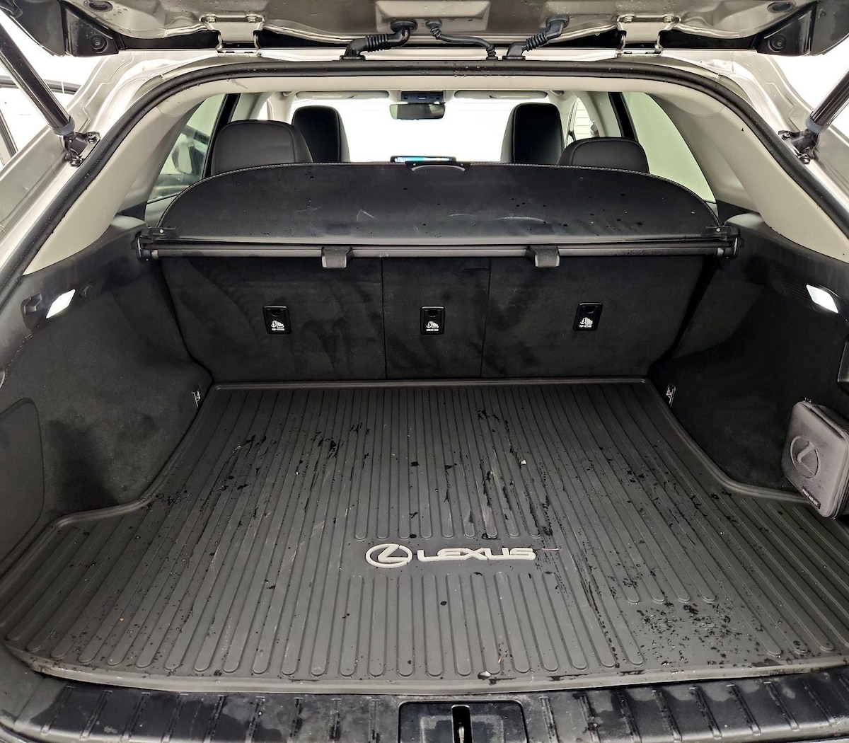 Trunk/Cargo (Seats Up)