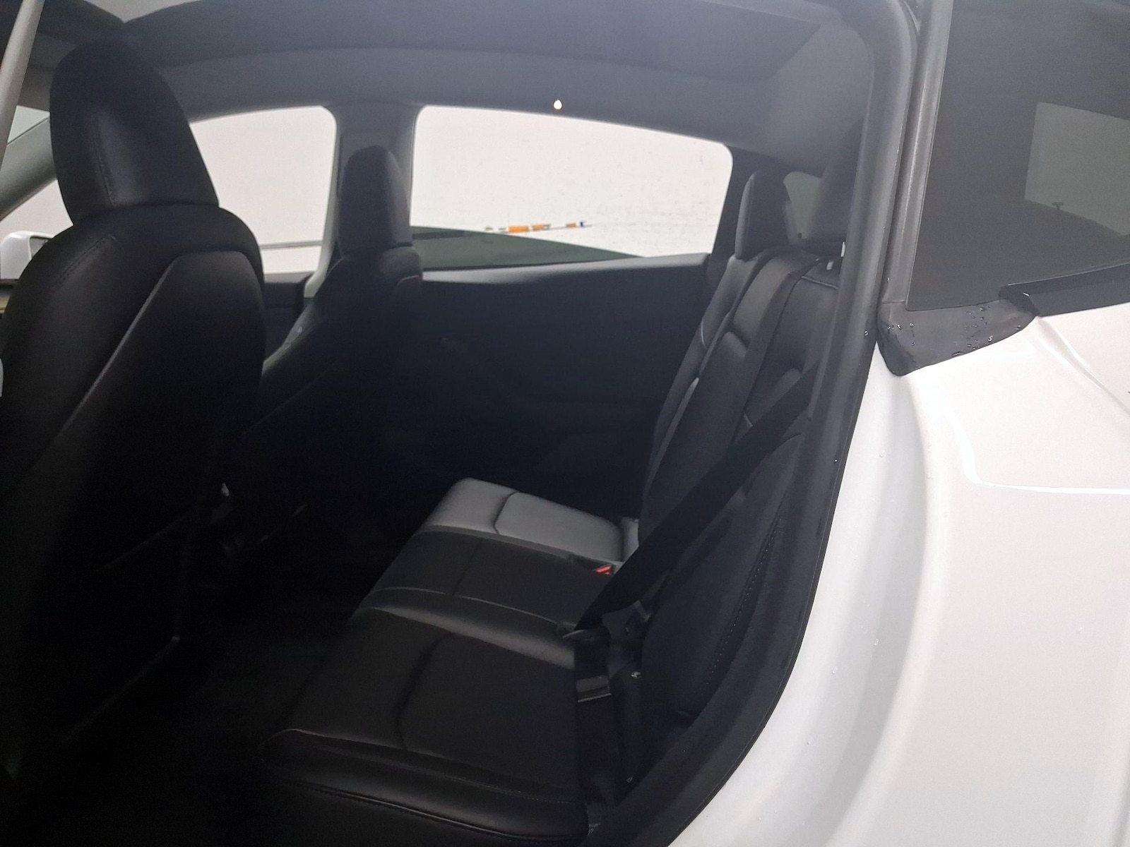 Rear Seat Heaters