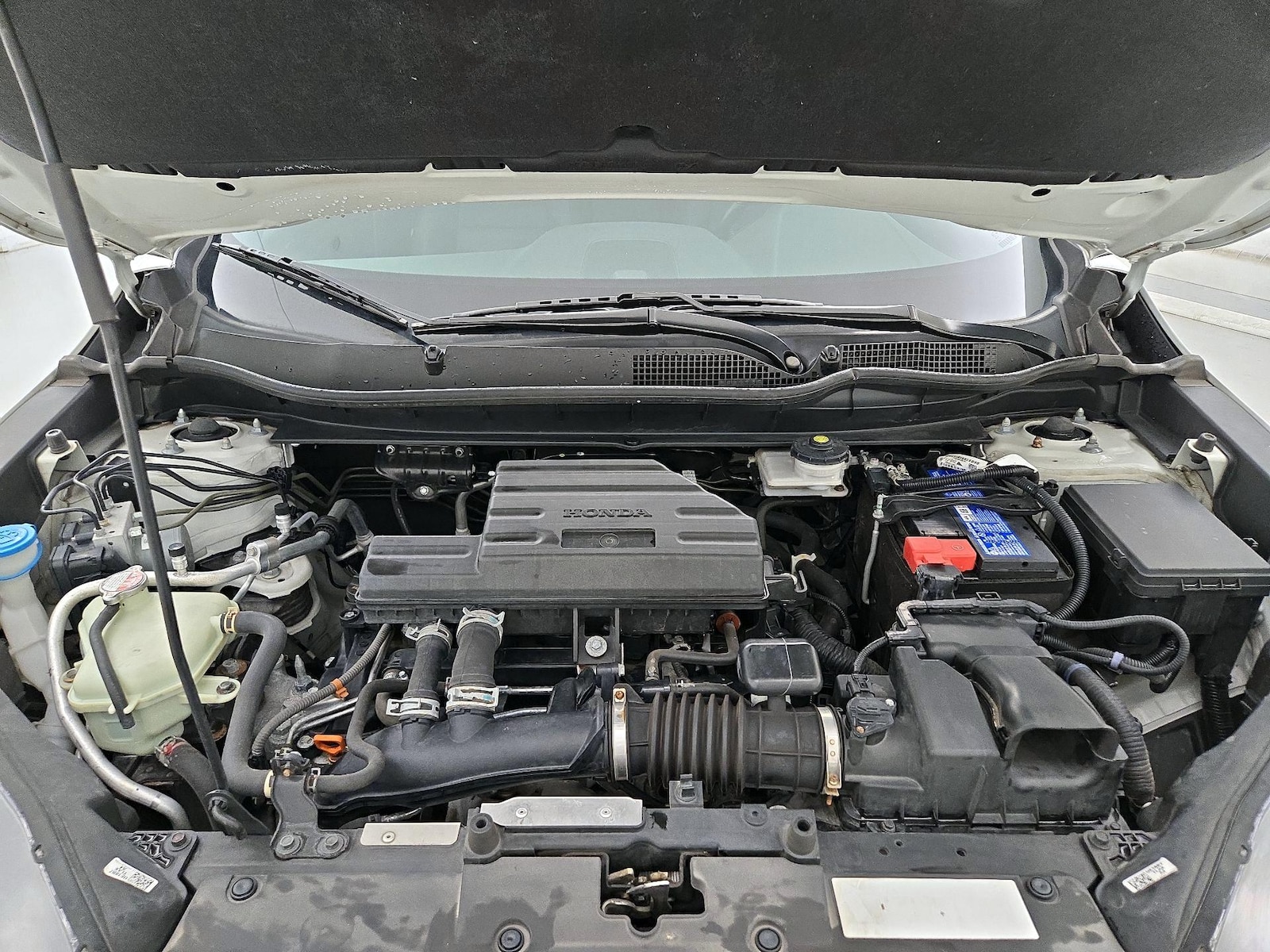 Photo 24