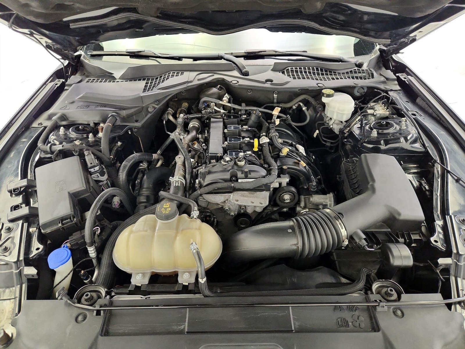 2022 Ford Mustang EcoBoost Premium - Photo 23