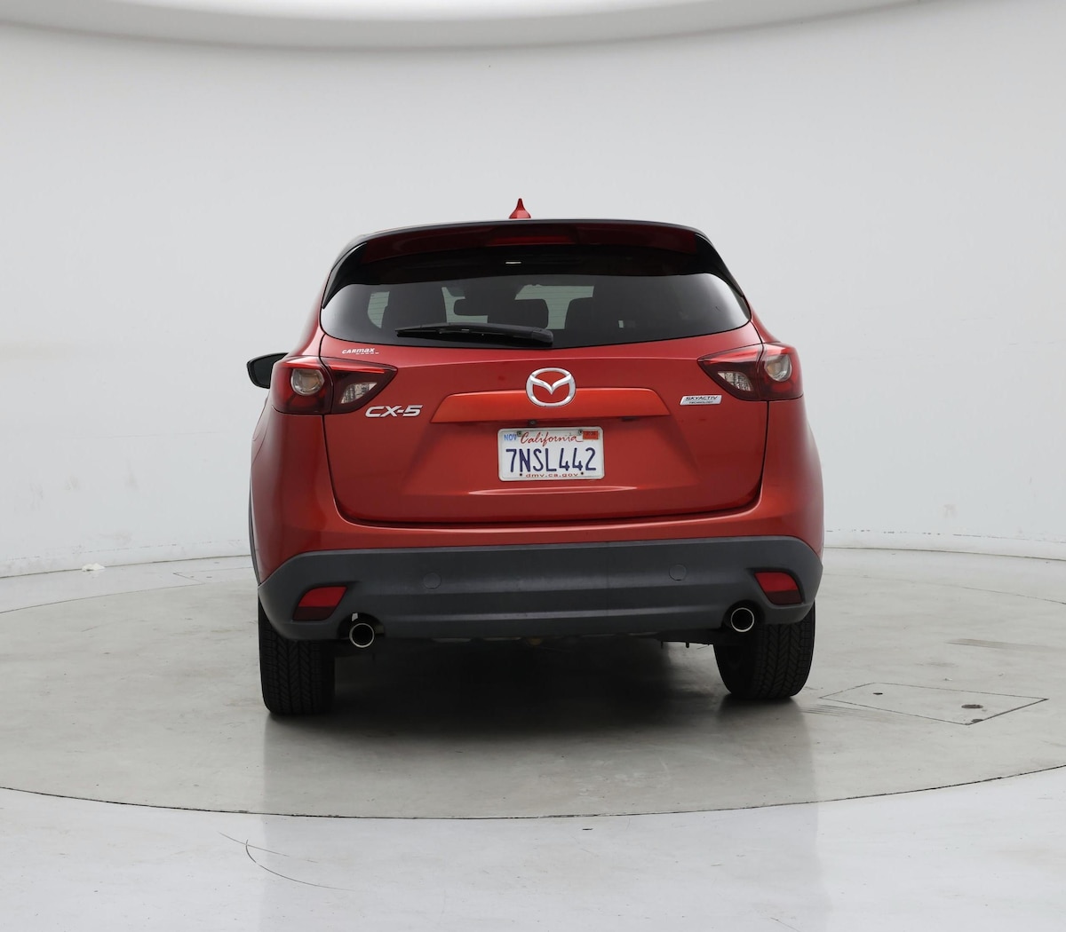 Rear