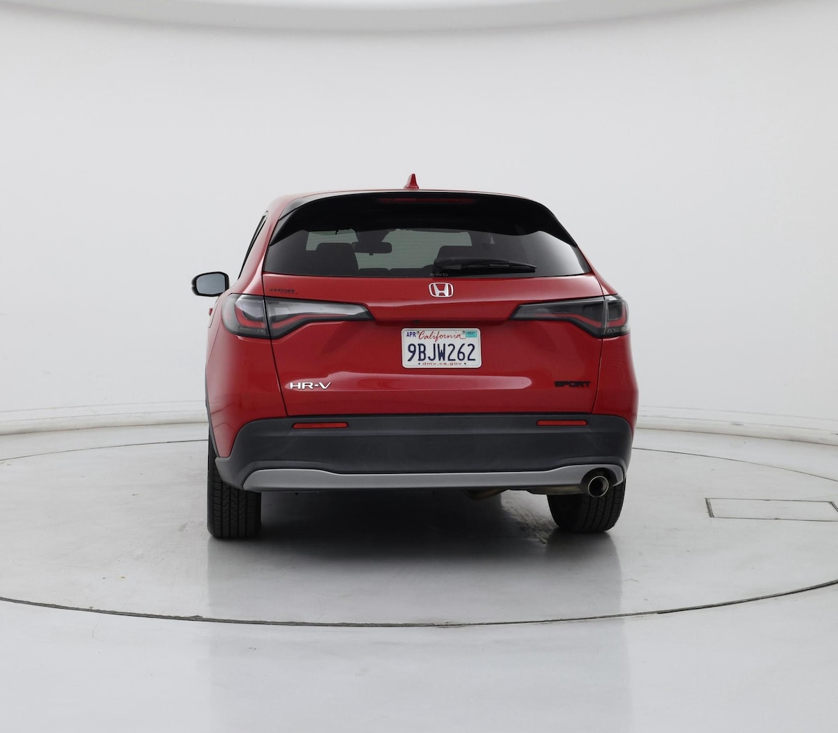 Rear