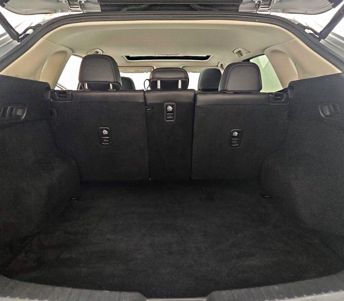 Trunk/Cargo (Seats Up)