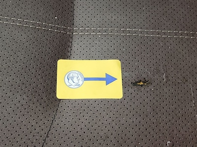 Condition detail