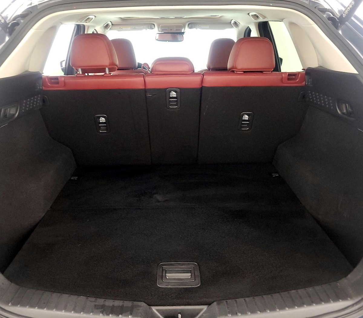Trunk/Cargo (Seats Up)