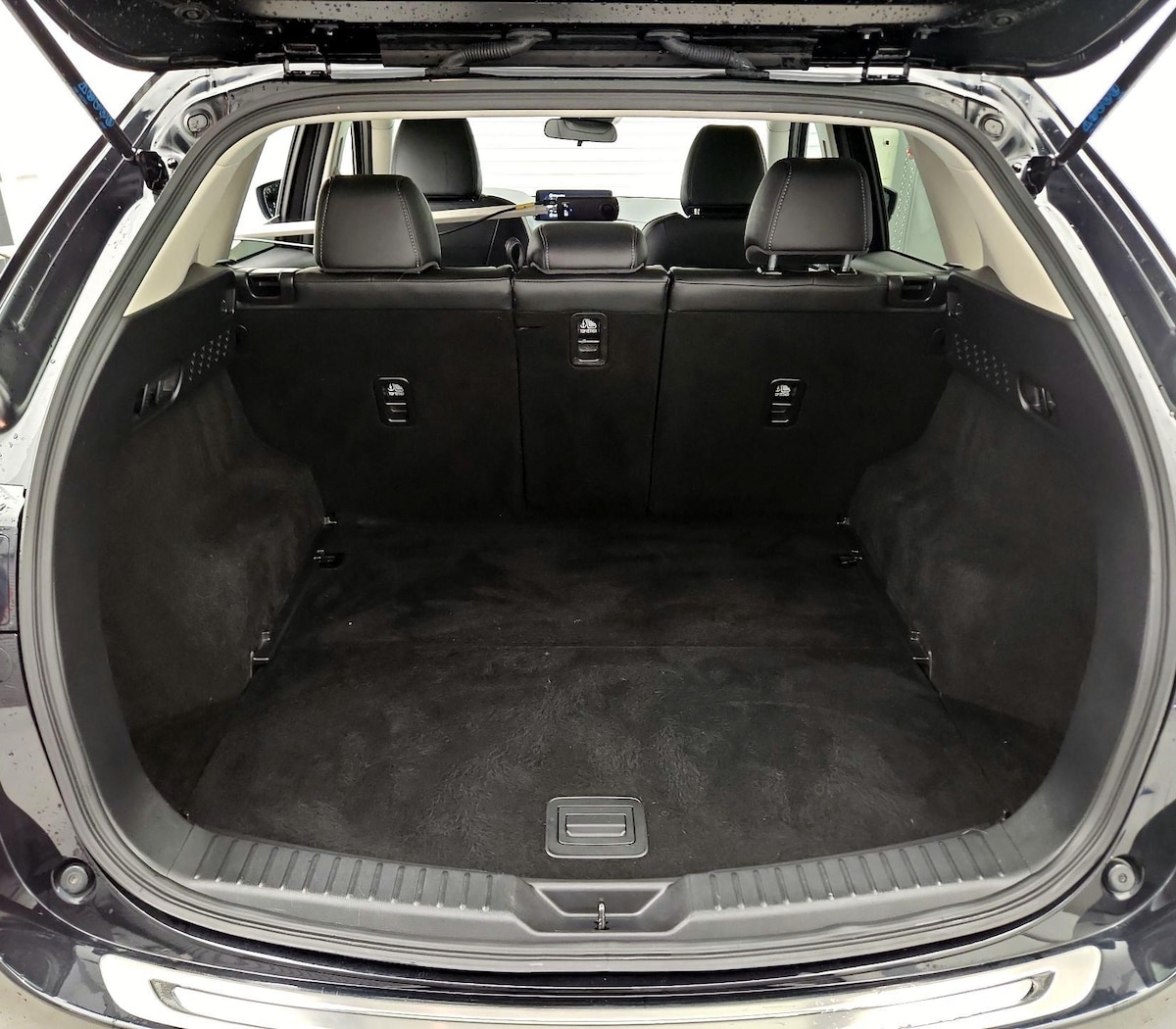 Trunk/Cargo (Seats Up)