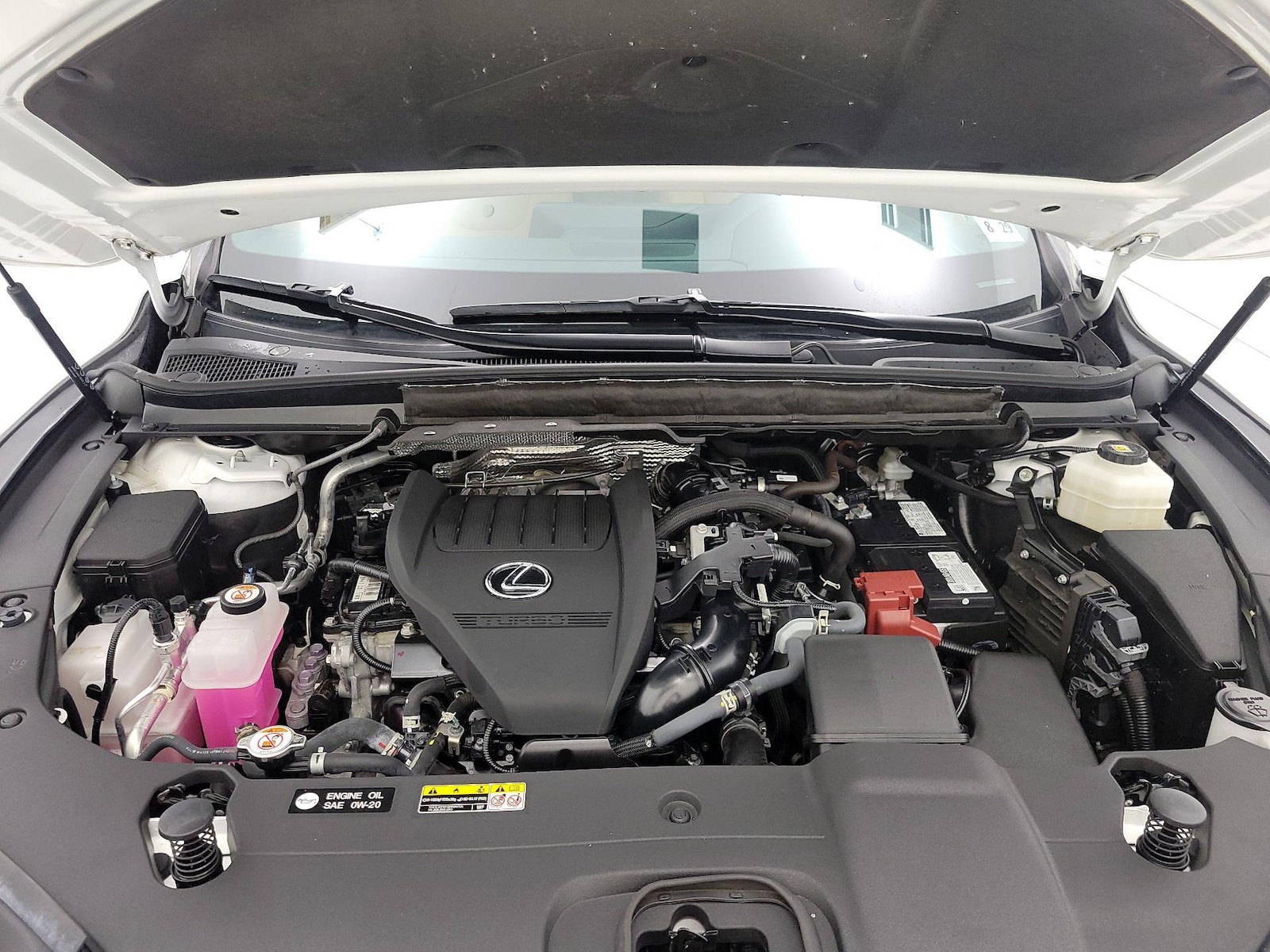 2024 Lexus RX 350 - Photo 24
