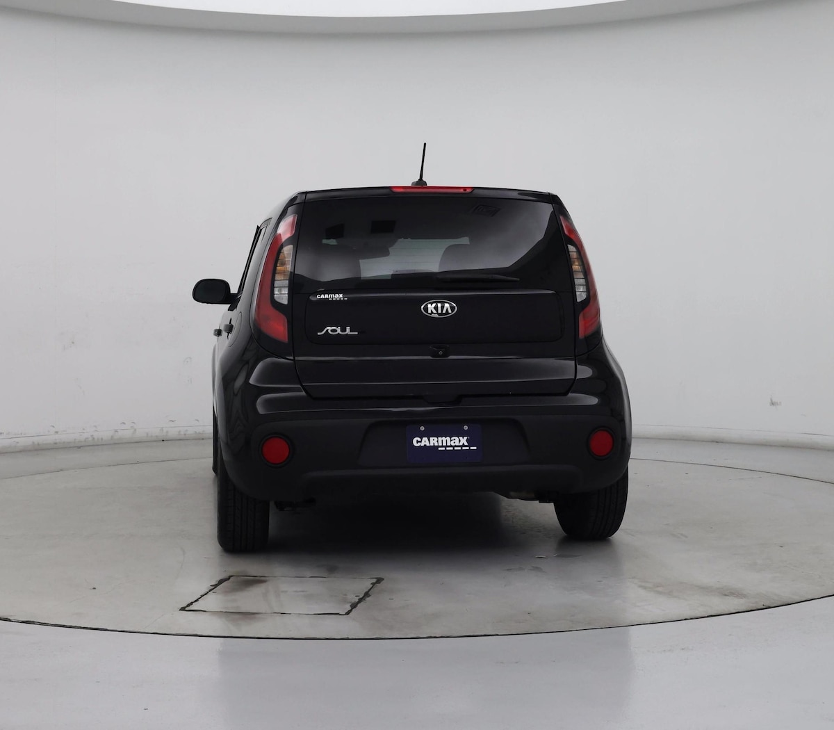 Rear