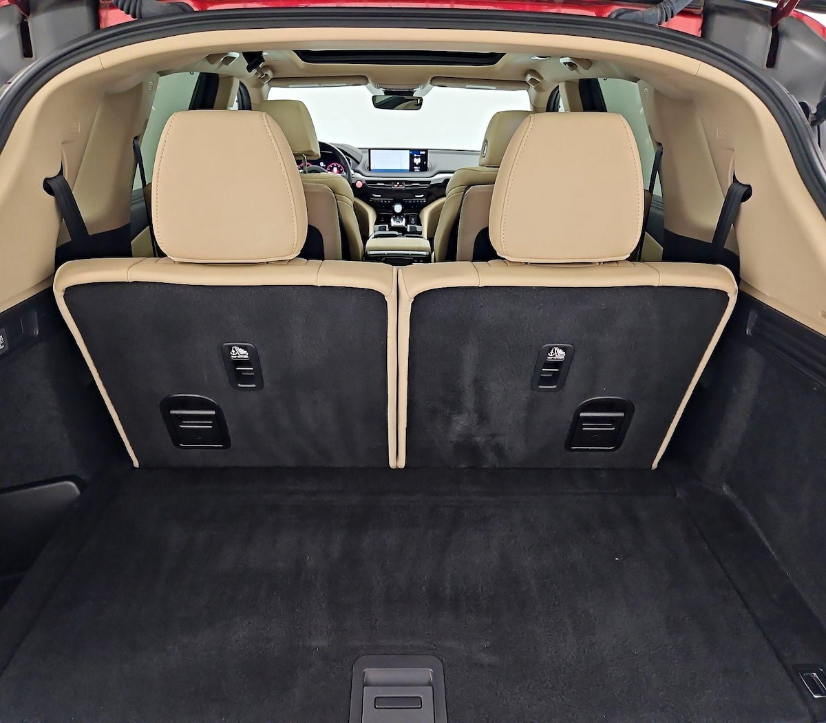 Trunk/Cargo (Seats Up)