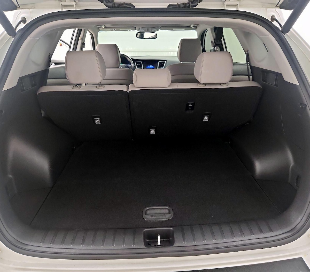 Trunk/Cargo (Seats Up)