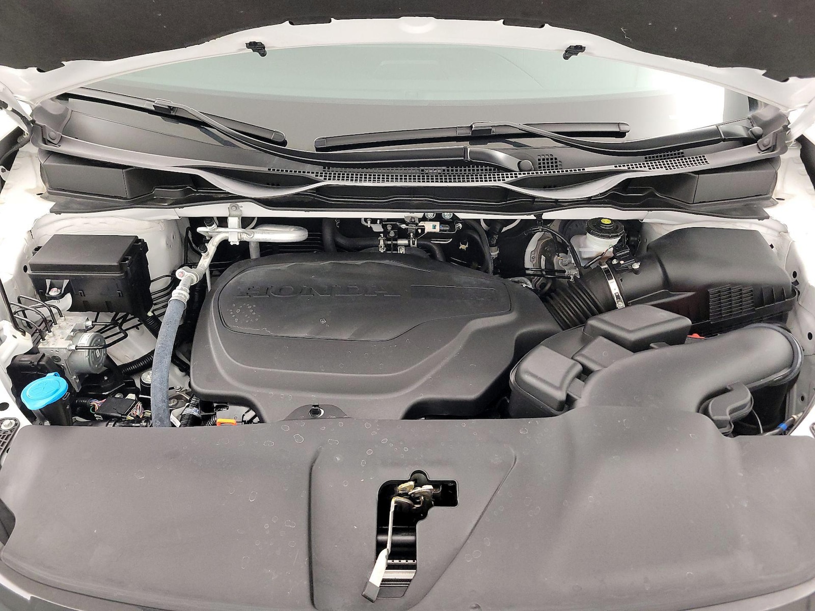 Photo 25