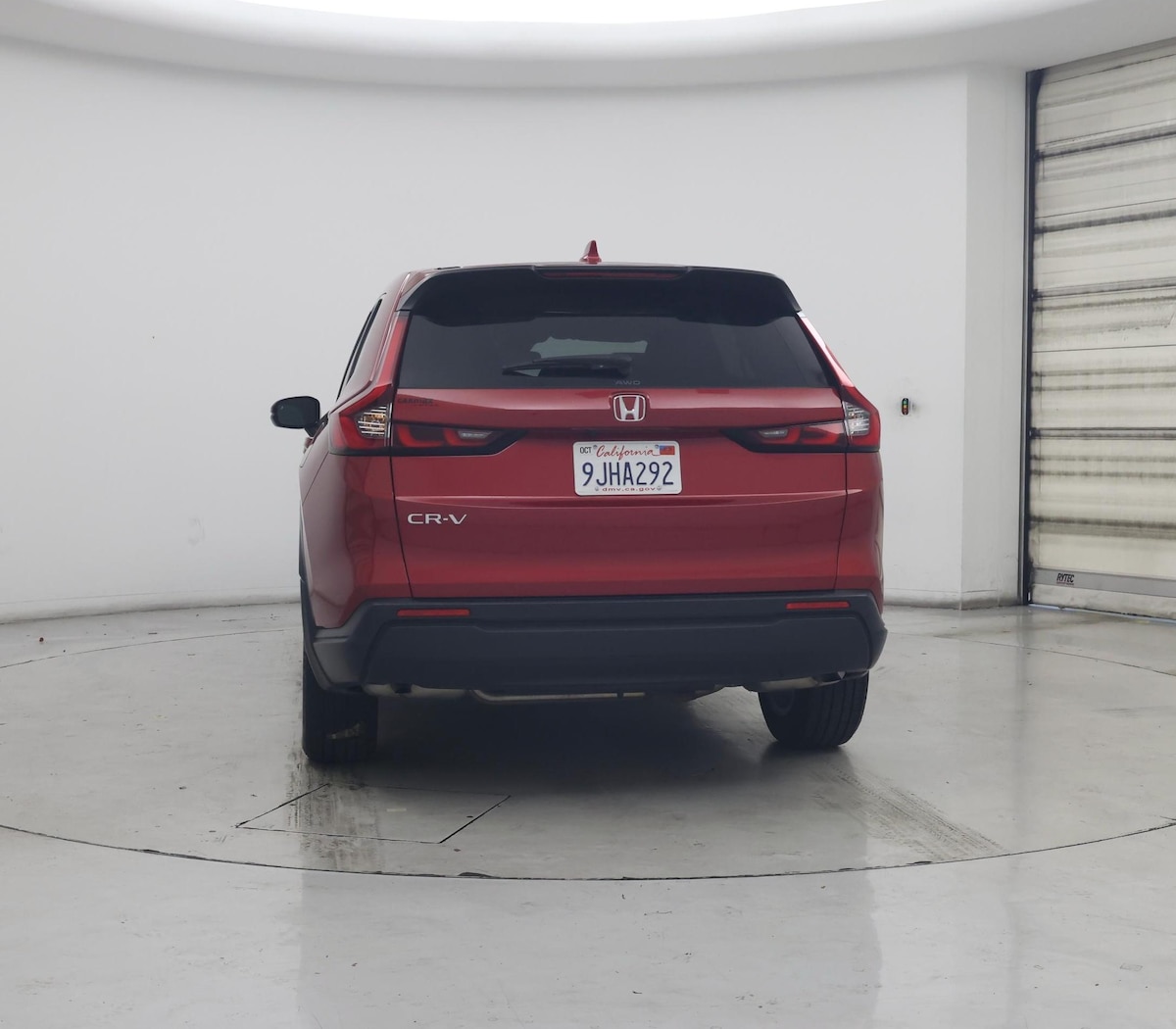 Rear