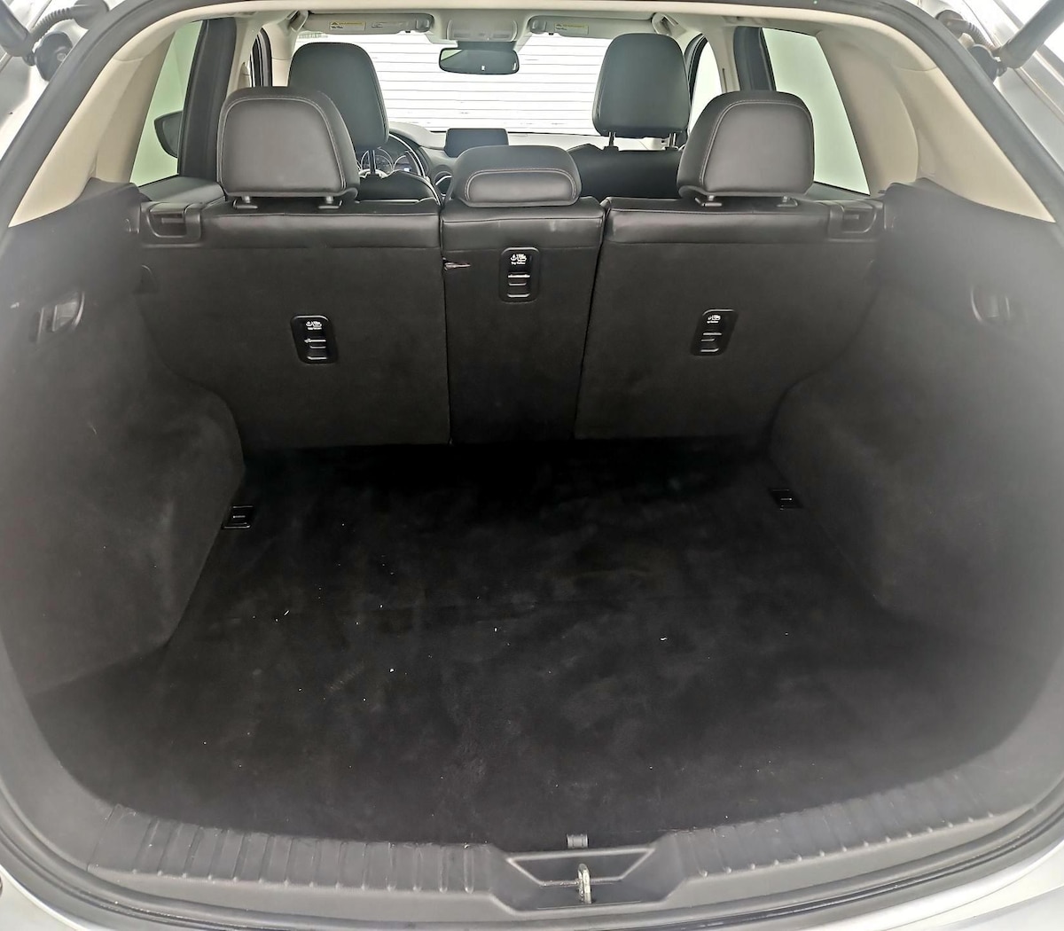 Trunk/Cargo (Seats Up)
