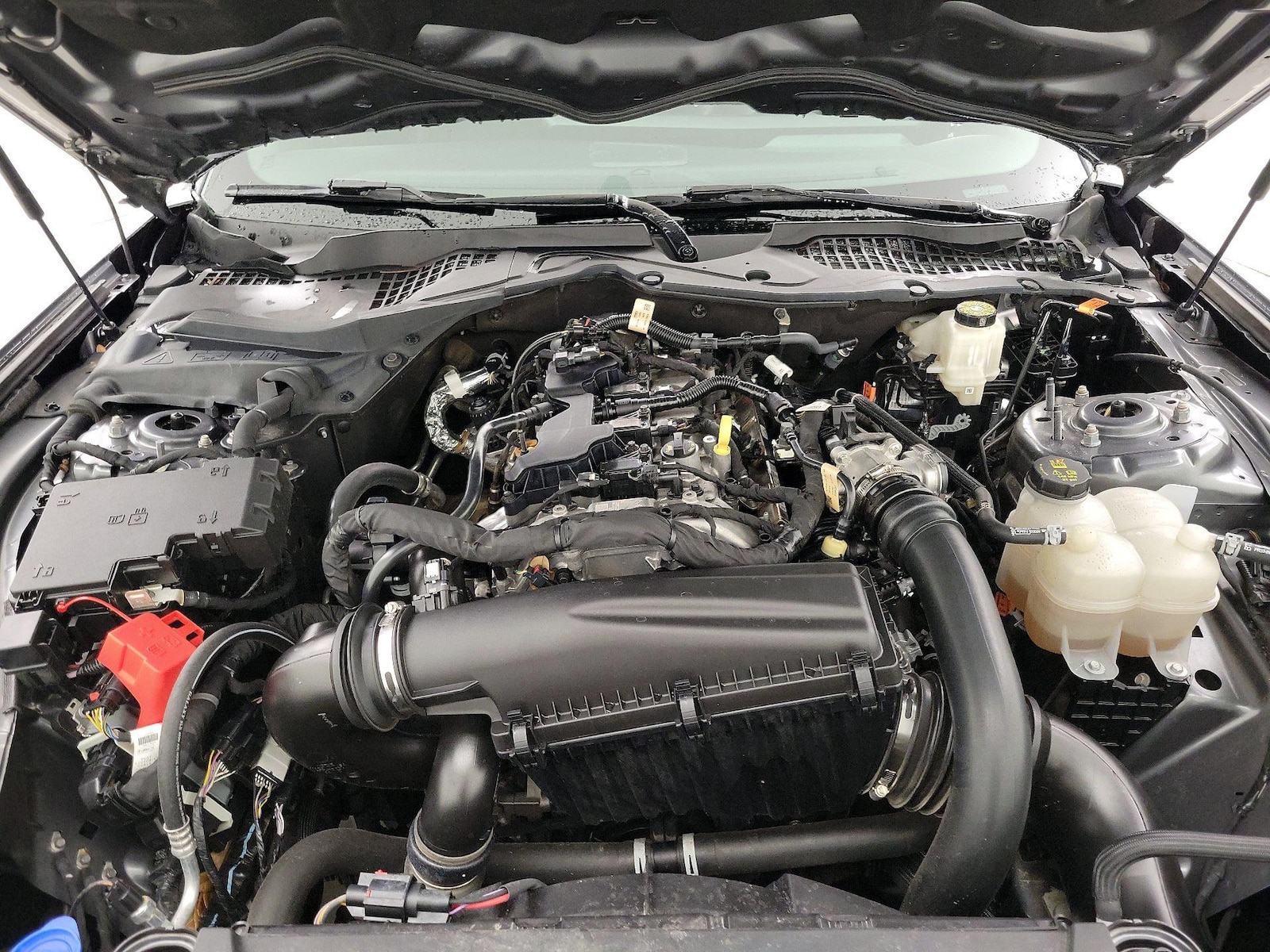 2024 Ford Mustang EcoBoost Premium - Photo 21