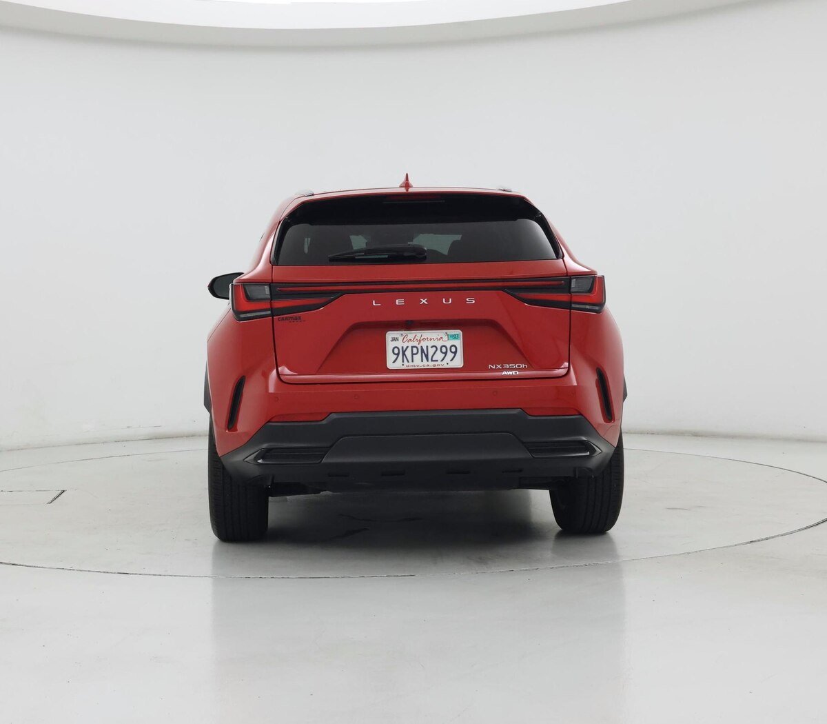 Rear