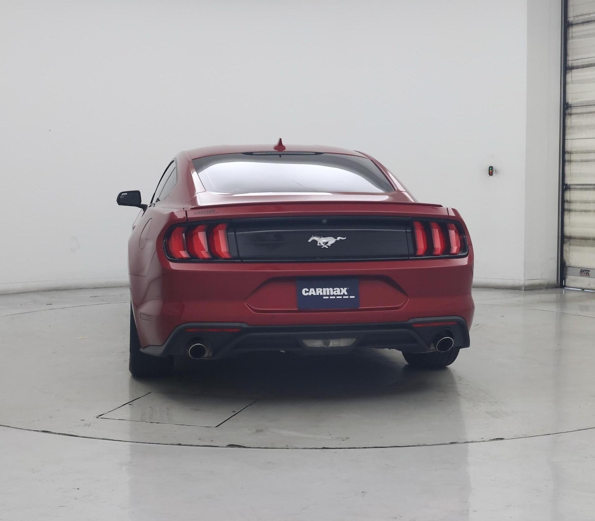Rear