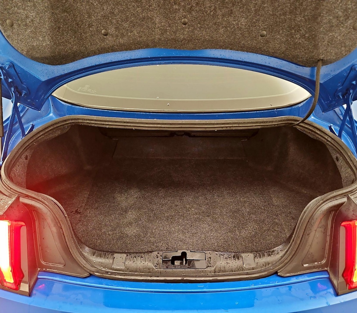 Trunk/Cargo (Seats Up)