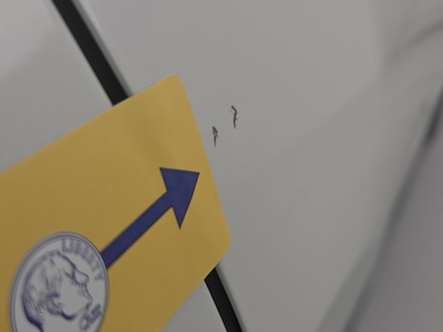 Condition detail