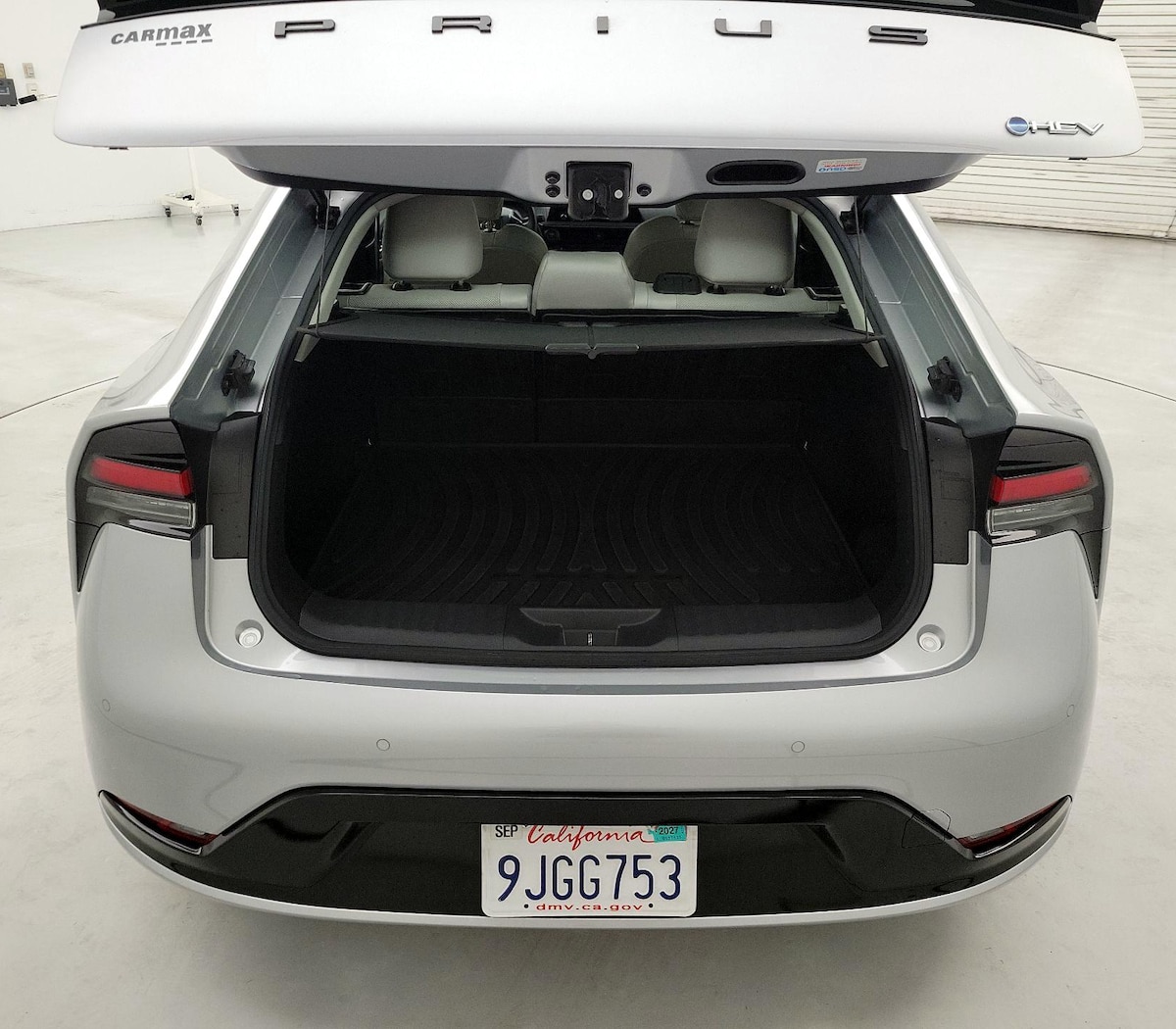 Trunk/Cargo (Seats Up)